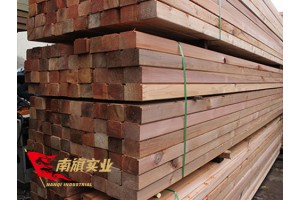 红雪松多少钱一方  红雪松板材、木方批发价格 红雪松批发厂家