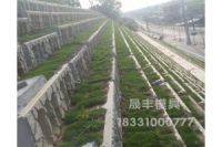 箱式生態(tài)護坡模具-箱式生態(tài)護坡晟豐加速指導(dǎo)