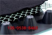 新鄉(xiāng)車庫頂板凹凸型排（蓄）水板