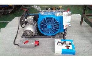 JII-E-H宝华消防呼吸器充气泵BC163099B