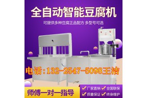 小型家用多功能豆腐机 高效率豆腐机 低耗能电动豆腐机