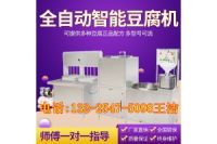 彩色果蔬豆腐機 自動大豆腐機 簡單操作豆腐機廠家