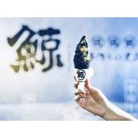 琉璃鯨加盟流程琉璃鯨加盟要多少_萬(wàn)元加盟