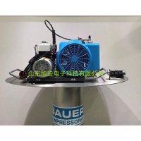 江苏供应BAUER100潜水呼吸器充气泵、压缩机