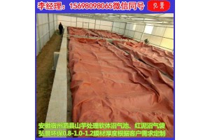 安徽泗县沼气池浮罩300立方-5000立方发酵袋现货厂家供应