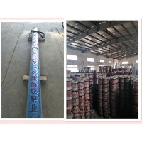 ​天津耐高温大型抽水泵-大功率抽水泵（名牌）厂家销售