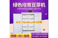 無人看管豆芽機(jī)設(shè)備 商用大容量豆腐機(jī) 全自動(dòng)豆芽機(jī)多少錢一臺