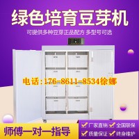 多功能大型豆芽机河南漯河商用千斤豆芽机全自动箱式豆芽机价格