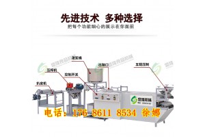全自动豆片机设备河北邢台豆片机全国联保小型豆腐皮机厂家
