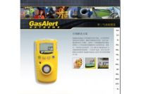 加拿大BW GAXT 隨身攜帶CO氣體檢測(cè)儀