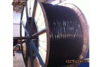礦用PE-ZKW8*1束管礦用束管型號(hào)規(guī)格齊全