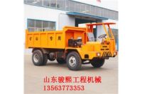 駿熙礦用四輪四不像運(yùn)輸車 生產(chǎn)銷售6噸后驅(qū)地下自卸式出渣車