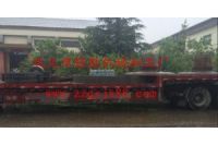 生產(chǎn)球磨機配件 加工定制各種規(guī)格球磨機大齒輪量大從優(yōu)