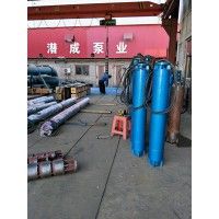 250型90KW热水泵-天津高扬程热潜水泵厂家案例