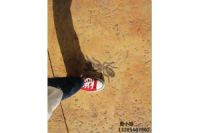 溧陽(yáng)藝術(shù)壓模地坪