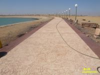 ~~8`}3Q[U0N1GTK~]RE0]4H_副本