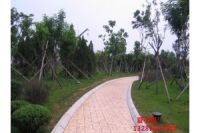 太倉藝術(shù)壓模地坪材料生產(chǎn)廠家