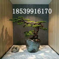 郑州枫林园艺假罗汉松假弯树造型树装饰