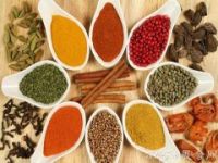 2019年中國(guó)調(diào)味品展