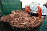 廈門絲印機報價，玻璃大型絲網(wǎng)印刷機