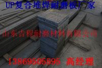 1-161031233R21E