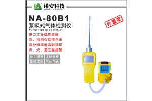诺安NA80-B1外置泵吸式气体检测仪/ 一氧化碳检测仪