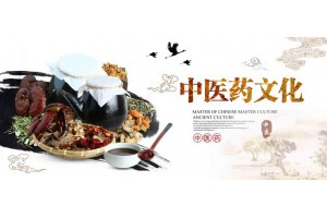 2019上海中医药健康养生展览会（中医药展）