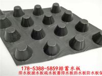 排水板016