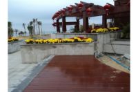 非洲菠蘿格涼亭