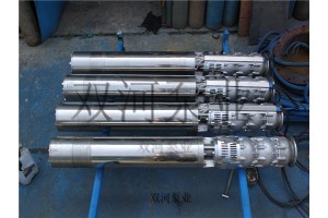 不锈钢潜水泵海水泵耐腐蚀潜水泵 生产厂家