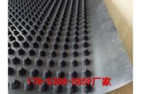 河南2公分凹凸型排水板廠家批發(fā)