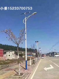 衡水農(nóng)村太陽(yáng)能路燈價(jià)格,武邑led路燈廠家