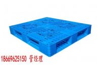 安國塑料托盤|安國托盤