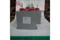 賽福電子 高壓 儲能 脈沖電容器 1200VDC 400UF