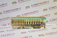 PM858K01