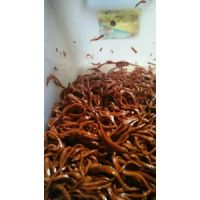 山西千頁豆腐鹵絲設備/制作鹵煮千頁豆腐絲的原料、配料、方法