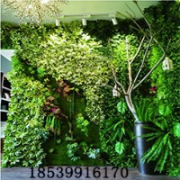 郑州枫林园艺植物墙装饰