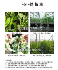 S-誘抗素花期簡(jiǎn)介