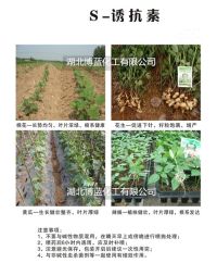 S-誘抗素黃瓜花生