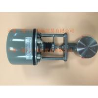 1/4“NPT伺服電機(jī)控制閥1“NPT德國Badger進(jìn)口