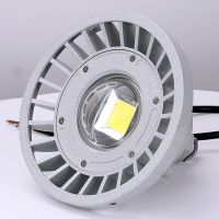 LND101防爆應急燈