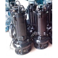 天津奥特泵业有限责任公司生产的QW型污水潜水泵