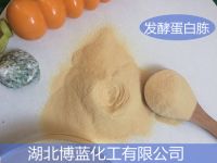 發(fā)酵蛋白胨外觀