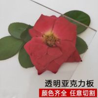 1-100mm高透明亞克力板廠家直銷新型裝飾材料有機玻璃板