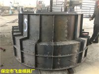 飛皇模具20