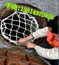 防護(hù)網(wǎng)3_副本