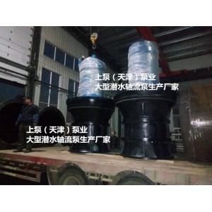 广西井筒式安装QZ潜水轴流泵品牌厂家