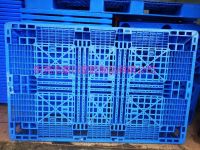 QQ圖片20190811084939