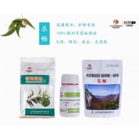 龍昌樂暢桉樹精油菌蟲雙抗腸道保健預(yù)防加州鱸腸炎病