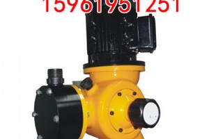20L计量泵60L80L机械隔膜计量泵有库存